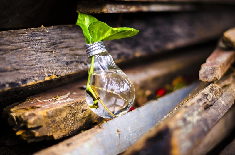 Eco-Friendly Interiors